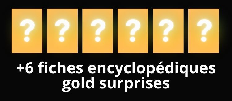 Shmup Snes deluxe box fiches encyclopédiques bonus gold